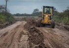Diputados continúa el debate para instrumentar y regular los consorcios de los caminos rurales
