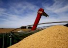 El agro entrerriano exige garantías para el libre transporte de granos y la desregulación de tarifas
