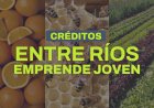 Abrió la convocatoria del programa Entre Ríos Emprende Joven