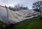 Fuerte temporal causó daños materiales en la Escuela Agrotécnica N° 155 “José Hernández” de Colonia La Perla