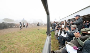 En Federal, el gobierno acompaña el esfuerzo privado por sumar valor a la ganadería entrerriana