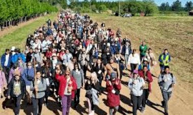 Más de 6.500 peregrinos desafiaron el clima y caminaron hasta Federación