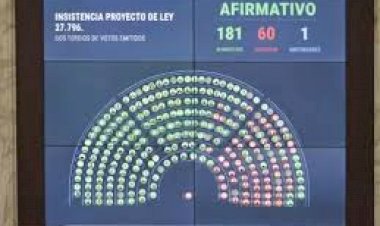 Uno por uno: quiénes son los diputados que votaron en contra del Hospital Garrahan