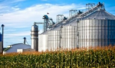 Entre Ríos y otras ocho provincias impulsan junto a la Unión Industrial una nueva ley para reactivar el sector de los biocombustibles