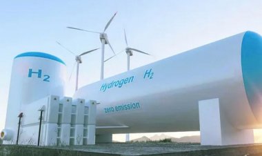 Aplazan hasta marzo la firma del contrato entre HIF Global y Alur: “Para ellos el proyecto cambió desde el conflicto con Argentina”