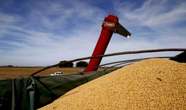 El agro entrerriano exige garantías para el libre transporte de granos y la desregulación de tarifas