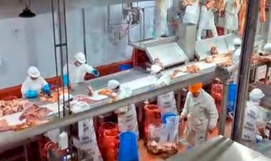 Informe revela que los argentinos consumen 5 kilos menos de carne vacuna y 1,5 kilos más de cerdo que hace un año