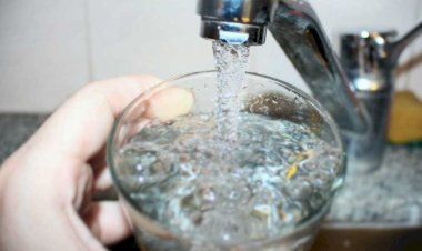 Investigación de universidades detectó mayor riesgo de morir por cáncer en departamentos del sur de Santa Fe y Entre Ríos