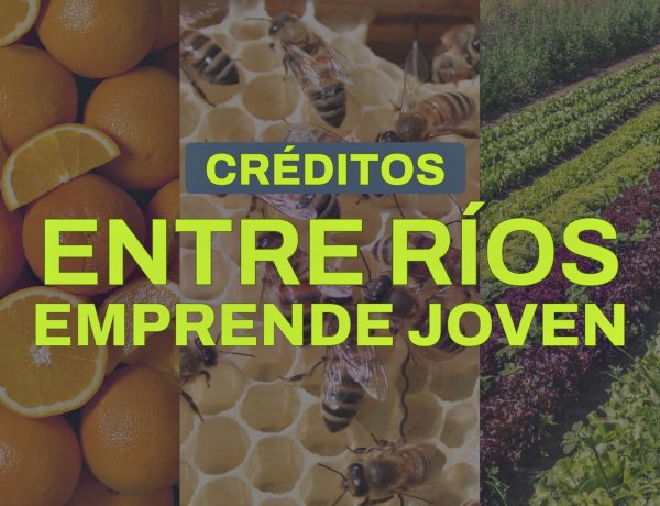 Abrió la convocatoria del programa Entre Ríos Emprende Joven