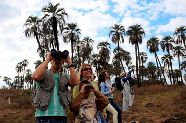 Entre Ríos registró un 95 por ciento de ocupación hotelera. Hablan de “balance muy bueno”