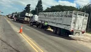 Retuvieron en Entre Ríos a cuatro camiones con más de 230 vacas