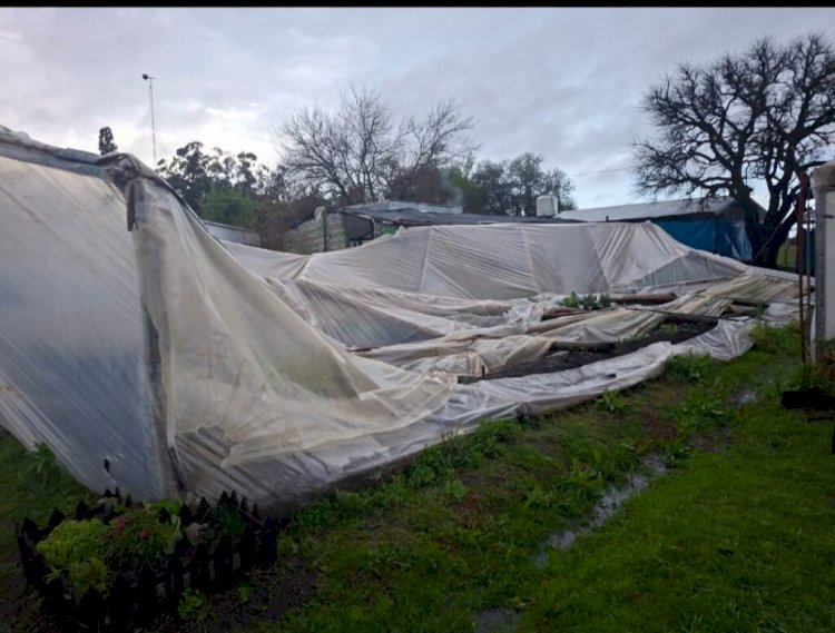 Fuerte temporal causó daños materiales en la Escuela Agrotécnica N° 155 “José Hernández” de Colonia La Perla
